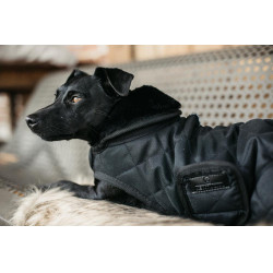 Manteau pour chien Original Kentucky Noir/noir Manteau pour chien Original Kentucky Noir/noir