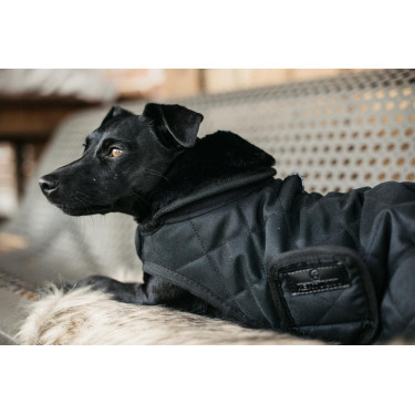 Manteau pour chien Original Kentucky Noir/noir Manteau pour chien Original Kentucky Noir/noir