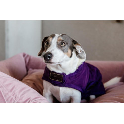 Manteau pour chien Original Kentucky Mauve royal Violet