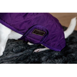 Manteau pour chien Original Kentucky Mauve royal Violet
