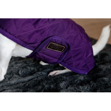 Manteau pour chien Original Kentucky Mauve royal Violet