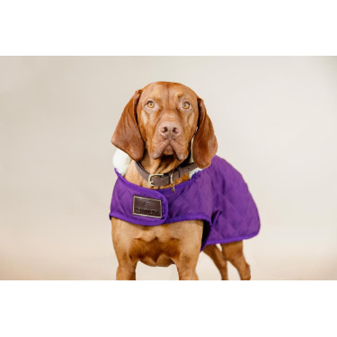 Manteau pour chien Original Kentucky Mauve royal Violet