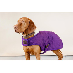 Manteau pour chien Original Kentucky Mauve royal Violet