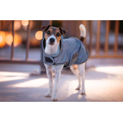 Manteau pour chien rèflèchissant & déperlant Kentucky Argent