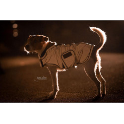 Manteau pour chien rèflèchissant & déperlant Kentucky Argent