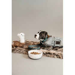 Manteau pour chien rèflèchissant & déperlant Kentucky Argent