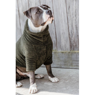 Trui Voor Hond Teddy Fleece Kentucky Trui Voor Hond Teddy Fleece Kentucky