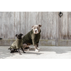 Pull Pour Chien Teddy Fleece Kentucky Vert sapin Pull Pour Chien Teddy Fleece Kentucky Vert sapin