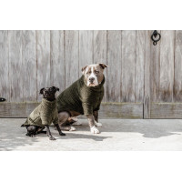 Trui Voor Hond Teddy Fleece Kentucky Donkergroen Trui Voor Hond Teddy Fleece Kentucky Donkergroen