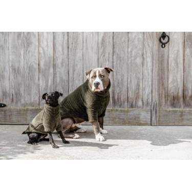 Trui Voor Hond Teddy Fleece Kentucky Trui Voor Hond Teddy Fleece Kentucky