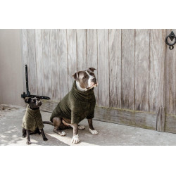 Trui Voor Hond Teddy Fleece Kentucky Trui Voor Hond Teddy Fleece Kentucky