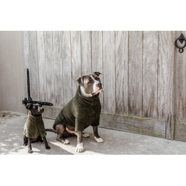 Trui Voor Hond Teddy Fleece Kentucky Trui Voor Hond Teddy Fleece Kentucky