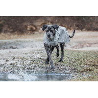 Veste Imperméable pour chien Kentucky Bleu poudreux