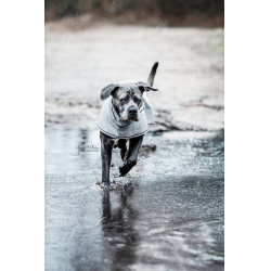 Waterdichte jas voor hond Kentucky Poederblauw Waterdichte jas voor hond Kentucky Poederblauw