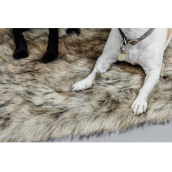 Lit pour chien Fuzzy to go Kentucky Brun Marron