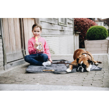 Hondenbed Travel In Style Kentucky Grijs