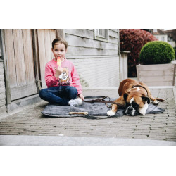 Lit pour chien Travel In Style Kentucky Gris