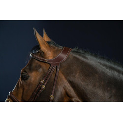 Hoofdstel Différence D Collectie van Dy'on Bruin