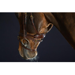 Hoofdstel Différence D Collectie van Dy'on Bruin