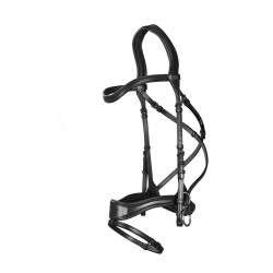 Hoofdstel D Motion New English Collection by Dy'on Zwart