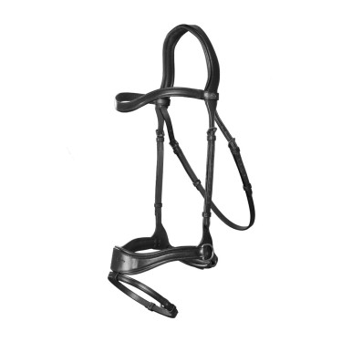 Bridon D Motion New English Collection by Dy'on Noir