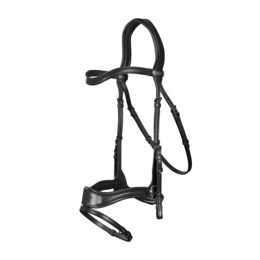 Hoofdstel D Motion New English Collection by Dy'on Zwart