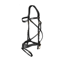 Hoofdstel D Motion D Collectie van Dy'on Zwart
