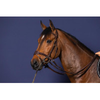 Hoofdstel D Motion D Collectie van Dy'on Bruin