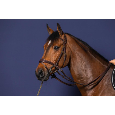 Hoofdstel D Motion D Collectie van Dy'on