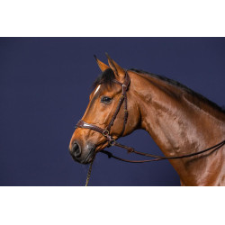 Hoofdstel D Motion D Collectie van Dy'on Bruin Hoofdstel D Motion D Collectie van Dy'on Bruin
