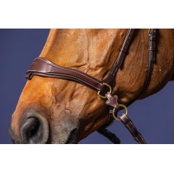 Hoofdstel D Motion D Collectie van Dy'on Bruin Hoofdstel D Motion D Collectie van Dy'on Bruin