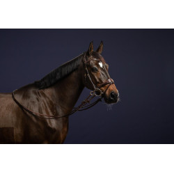 Hoofdstel D Motion D Collectie van Dy'on Bruin Hoofdstel D Motion D Collectie van Dy'on Bruin