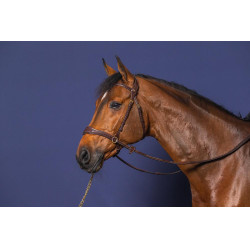 Hoofdstel D Motion D Collectie van Dy'on Bruin Hoofdstel D Motion D Collectie van Dy'on Bruin
