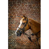 Bridon Dubbele Neusriem D Collection by Dy'on Zwart