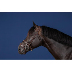Bridon Dubbele Neusriem US Collectie by Dy'on Bruin