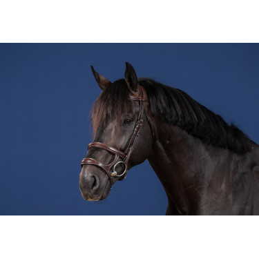 Bridon Double Muserolle US Collection by Dy'on Marron Bridon Double Muserolle US Collection by Dy'on Marron