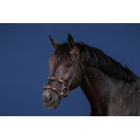 Bridon Dubbele Neusriem US Collectie by Dy'on Bruin