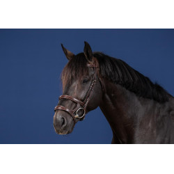 Bridon Dubbele Neusriem US Collectie by Dy'on Bruin