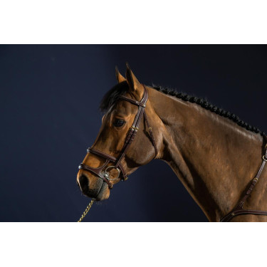 Bridon Dubbele Neusriem D Collection by Dy'on Bruin