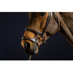 Bridon Dubbele Neusriem D Collection by Dy'on Bruin
