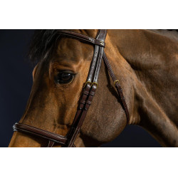 Bridon Dubbele Neusriem D Collection by Dy'on Bruin