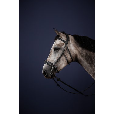 Bridon Hackamore New English Collection by Dy'on Noir Bridon Hackamore New English Collection by Dy'on Noir
