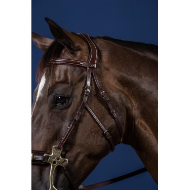 Bridon Hackamore US Collectie van Dy'on Bridon Hackamore US Collectie van Dy'on