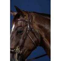 Bridon Hackamore US Collection by Dy'on Brun Marron Bridon Hackamore US Collection by Dy'on Brun Marron