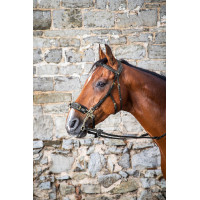 Bridon Hackamore D Collection by Dy'on Noir Bridon Hackamore D Collection by Dy'on Noir