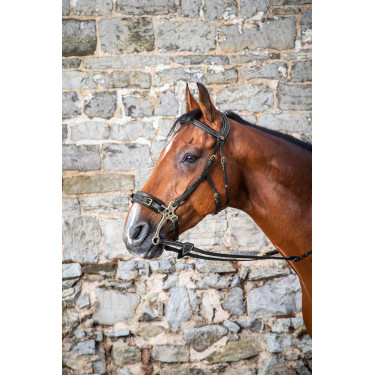 Hackamore Hoofdstel D Collection by Dy'on Zwart