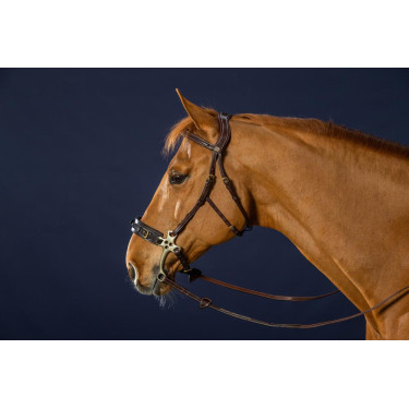 Hackamore Hoofdstel D Collection by Dy'on