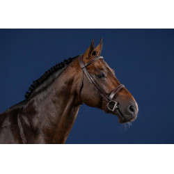 Bridon Hunter US Collectie van Dy'on