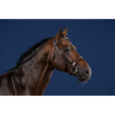 Bridon Hunter US Collection by Dy'on Bridon Hunter US Collection by Dy'on