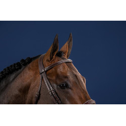 Bridon Hunter US Collectie van Dy'on Bruin